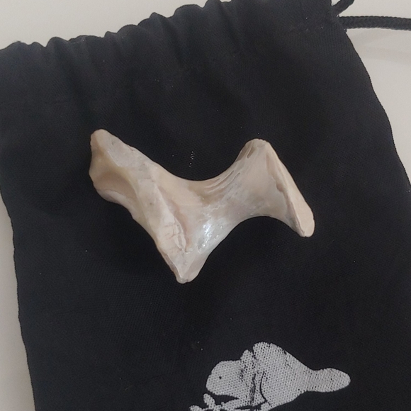 Rocks - Picture 6 of 13